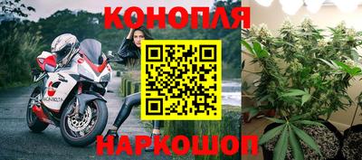 сатива Пыть-Ях