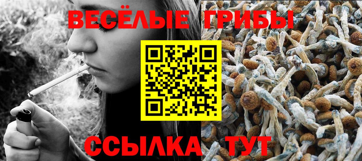 Сергиев Посад  Галлюциногенные грибы MAGIC MUSHROOMS  Вход с VPN  Псилоцибиновые грибы MAGIC MUSHROOMS 
